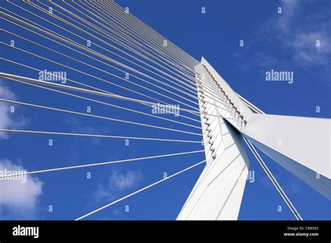 cable supported bridge pylons